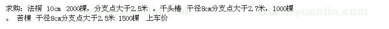 求購法桐  千頭椿 苦楝