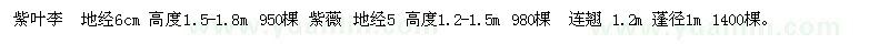 求購紫葉李  紫薇 連翹