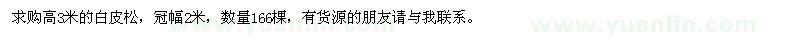 求購(gòu)高3米的白皮松