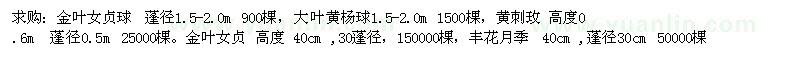 求購(gòu)金葉女貞球 大葉黃楊球 黃刺玫 金葉女貞