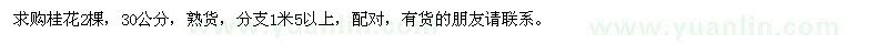 求購30公分桂花