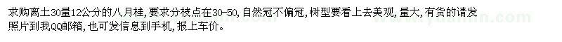 求購(gòu)地徑12公分的八月桂