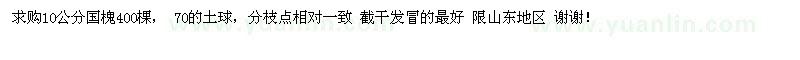 求購10公分國槐400棵