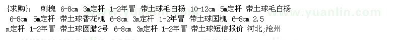 求購刺槐 毛白楊 香花槐 國槐 圓臘2號
