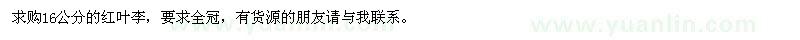 求購16公分的紅葉李
