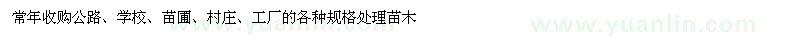 求購(gòu)公路、學(xué)校、苗圃、村莊各種規(guī)格處理苗木