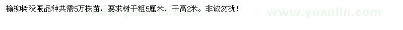 求購榆樹、柳樹苗5萬棵 