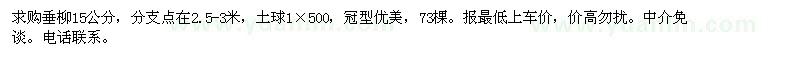 求購垂柳15公分 
