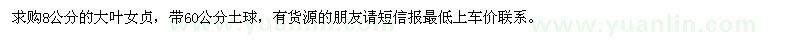 求購8公分的大葉女貞