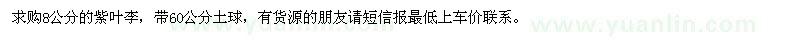 求購8公分的紫葉李