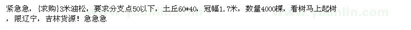 求購(gòu)3米油松