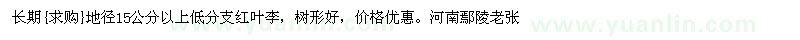 求購地徑15公分以上低分支紅葉李