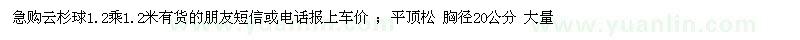 求購云杉球