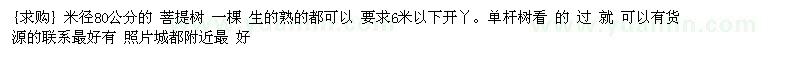 求購米徑80公分的 菩提樹 一棵
