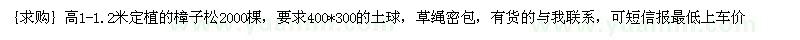 求購(gòu)高1-1.2米定植的樟子松2000棵