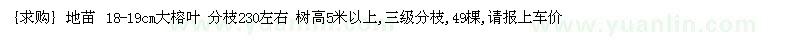 求購(gòu)地苗 18-19cm大榕葉 分枝230左右
