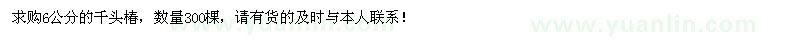 求購6公分千頭椿300棵