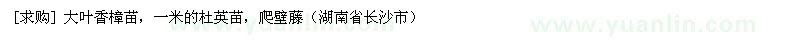 求購大葉香樟苗，一米的杜英苗，爬壁藤