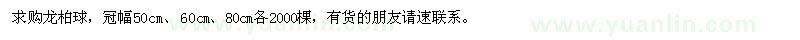 求購龍柏球