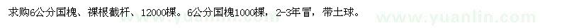 求購6公分國(guó)槐