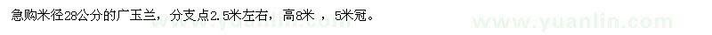 求購28公分的廣玉蘭