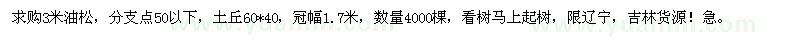 求購(gòu)3米油松