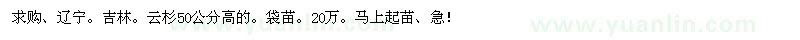 求購云杉