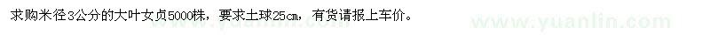 求購米徑3公分的大葉女貞