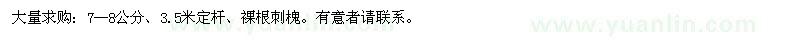 求購大量：刺槐