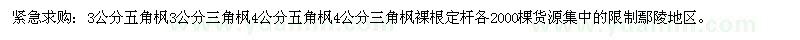求購(gòu)五角楓 三角楓