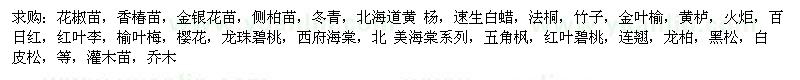 求購(gòu)花椒苗，香椿苗，金銀花苗，側(cè)柏苗等綠化苗木