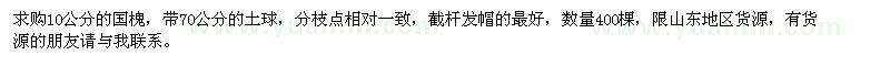求購國槐