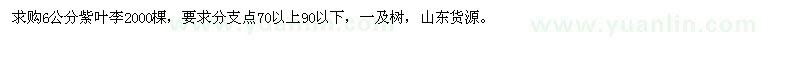 求購6公分紫葉李2000棵