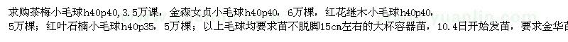 求購茶梅小毛球h40p40,3.5萬/金森女貞小毛球h40p40，6萬棵