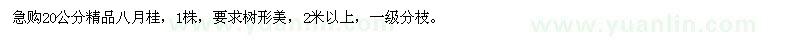 求購20公分八月桂