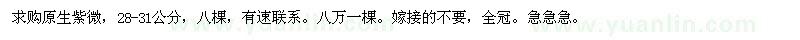 求購原生紫微，28-31公分，八棵