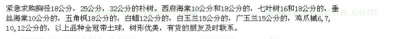 求購樸樹 西府海棠 七葉樹 垂絲海棠 五角楓等