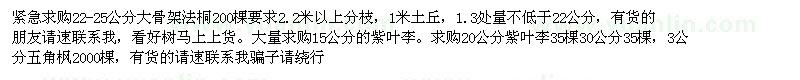 求購(gòu)22-25公分大骨架法桐