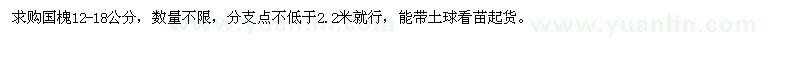 求購國槐12-18公分