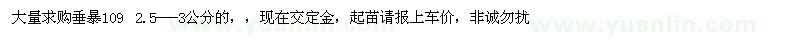 求購大量垂暴109 2.5—-3公分的