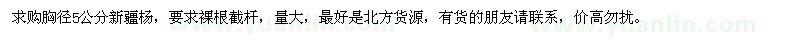 求購胸徑5公分新疆楊