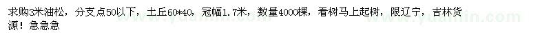 求購(gòu)3米油松，分支點(diǎn)50以下