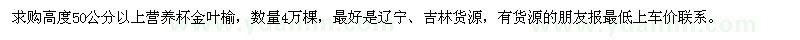 求購(gòu)50公分以上營(yíng)養(yǎng)杯金葉榆4萬(wàn)棵
