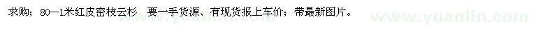 求購80--1米紅皮密枝云杉  要一手貨源