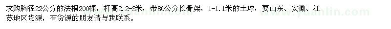 求購胸徑22公分的法桐200棵
