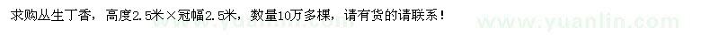 求購叢生丁香10萬棵