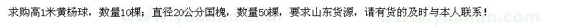 求購高1米黃楊球、20公分國槐