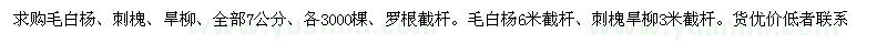 求購毛白楊、刺槐、旱柳