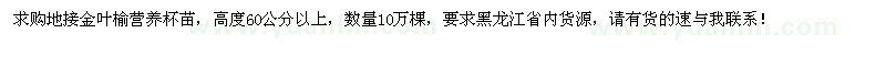 求購地接金葉榆營養(yǎng)杯苗10萬棵    