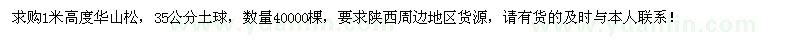 求購(gòu)1米高華山松40000棵